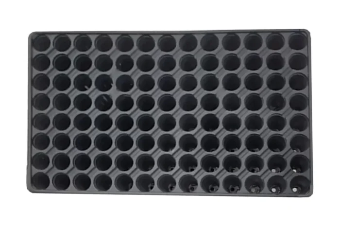 105 goz viyol fide tohum cicek yetistirme viyolu 27x525 cm 199175386 sw1492sh1016