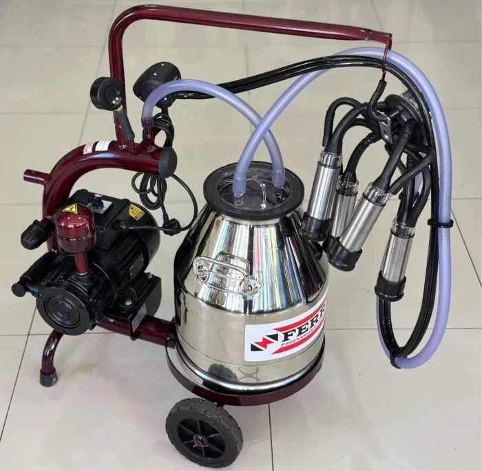 ferrino kuru tek sagim c30 krom gugum sabit 175440396 sw3000sh2937