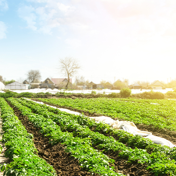 ziraat deposu hakkimizda gorsel