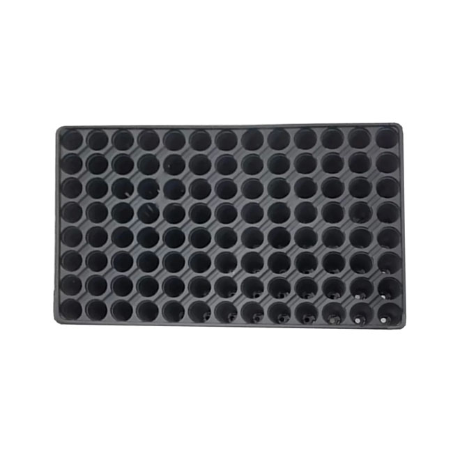 105 goz viyol fide tohum cicek yetistirme viyolu 27x525 cm 199175386 sw1492sh1016 1