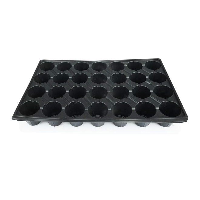 28 goz viyol fide tohum cicek yetistirme viyolu 30x525 cm 142059916 sw2000sh1352