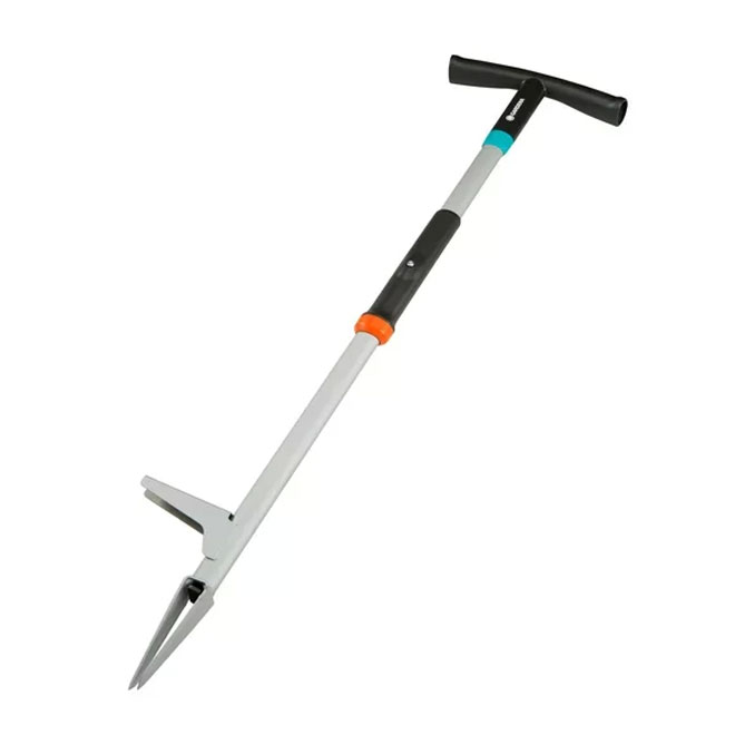 yabani-ot-sokucu-179936049-sw429sh530 yabani ot sokucu 179936049 sw429sh530